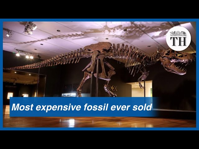 Stan the T-Rex becomes the most expensive fossil ever sold