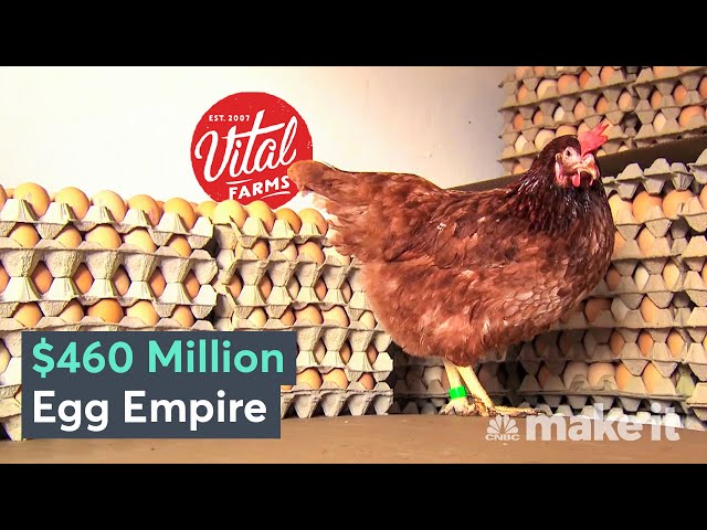 I Built Vital Farms: A $460 Million Business Selling $10 Eggs