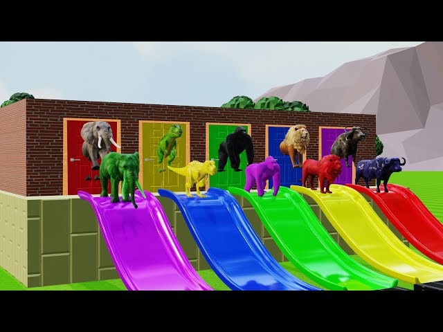 Choose RIght Door Fountain Crossing Animals Games Paint and Animals with Elephant Gorila Lion