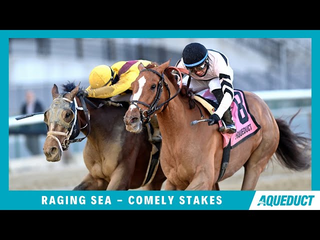 Raging Sea - 2023 - The Comely