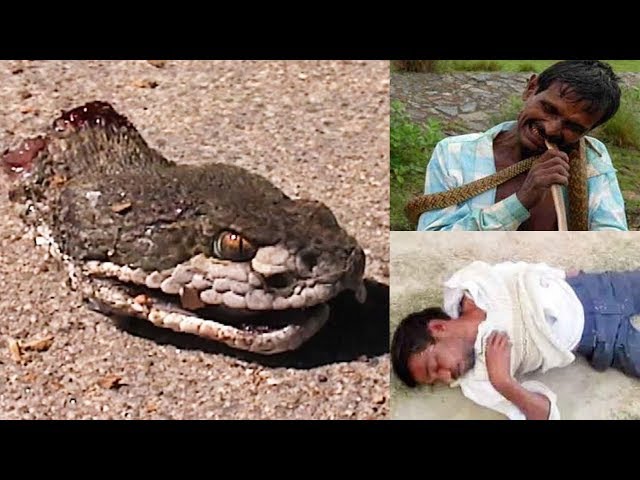 5 Strange People Who Bite Snakes To Death