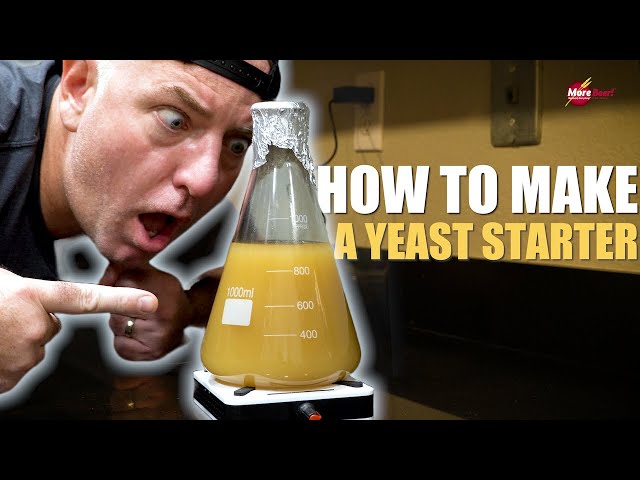 All YOU NEED TO KNOW About Making a Yeast Starter | MoreBeer!