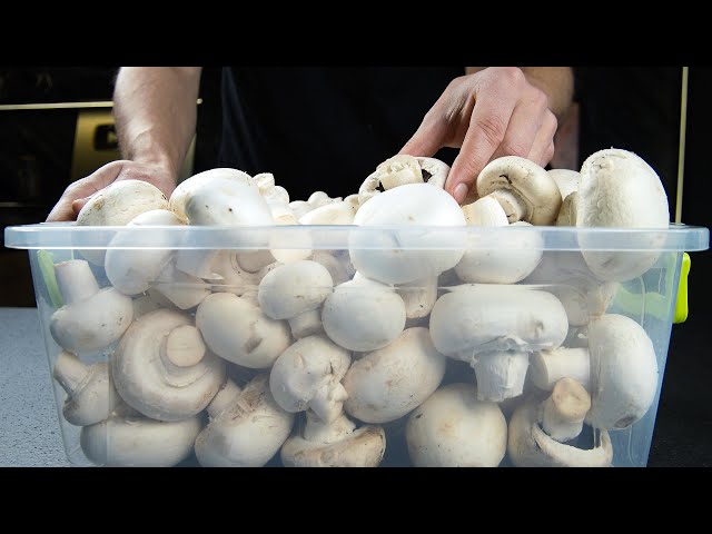 Still Frying MUSHROOMS?! It's Time To Know This 250 Years Old No-Fail Recipe!