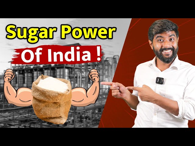 भारत की Sugar Industry कैसे India को मालामाल कर रही है? | Analysis of sugar industry | Explainer
