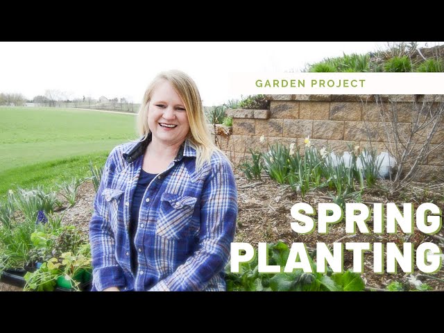 Spring Plants: Seeds, Seedlings and Plants 🌱