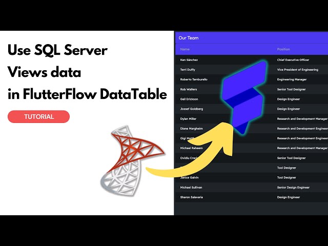 Use Microsoft SQL Server Views data in FlutterFlow DataTable