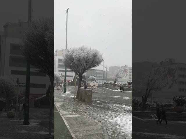Tehran Snowy Day روز برفی تهران تئاتر شهر و پارک دانشجو