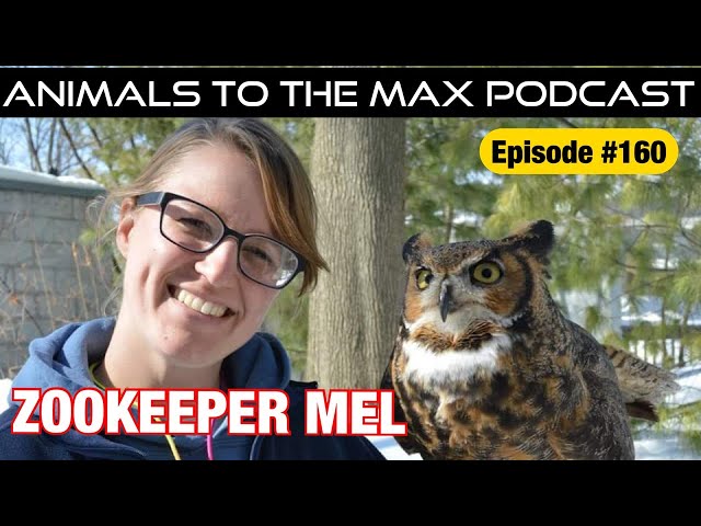 Zookeeper Mel! Animals To The MAX Podcast Episode #160