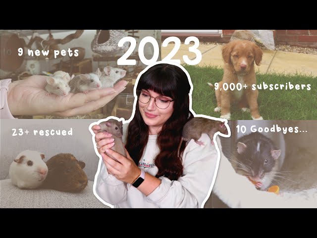 Looking back at the past year with the Pets | Emiology 2023