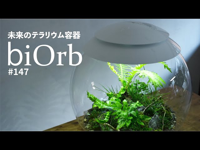 Futuristic terrarium container“biOrb”【Product review】