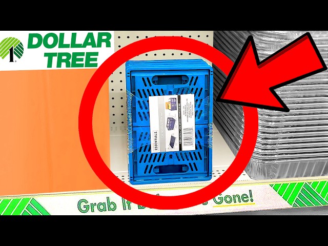 10 Things You SHOULD Be Buying at Dollar Tree in February 2024