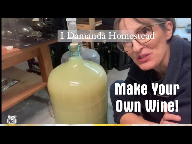 Making White Wine from Fresh Grapes; Part 2. Removing the skins, and Racking the Wine!