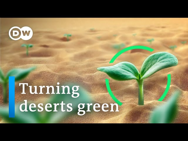 Can we stop the deserts from spreading?