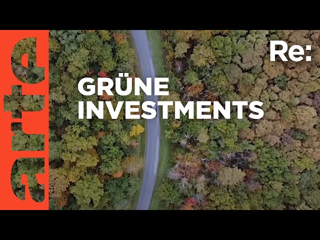 Grüne Geldanlage, Nachhaltige Investition in den Wald | ARTE Re: