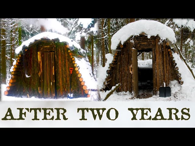 What happened to the forest SHELTER after 2 years? | Lots of snow at BUSHCRAFT CAMP | Cooking prawns