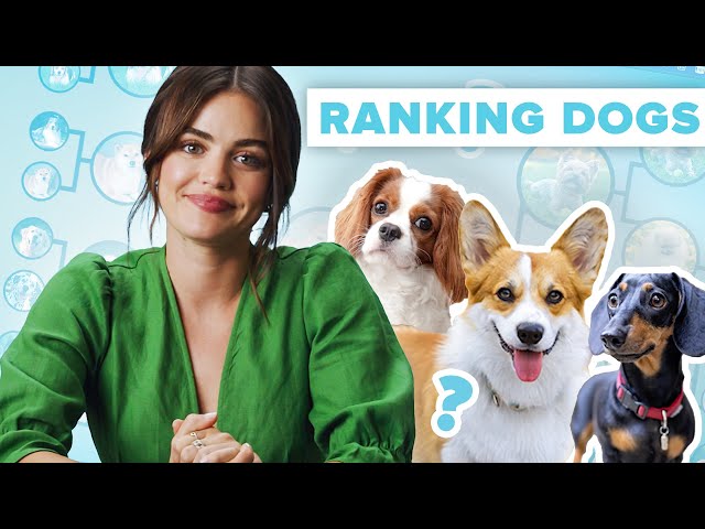 Lucy Hale Ranks The Cutest Dog Breeds