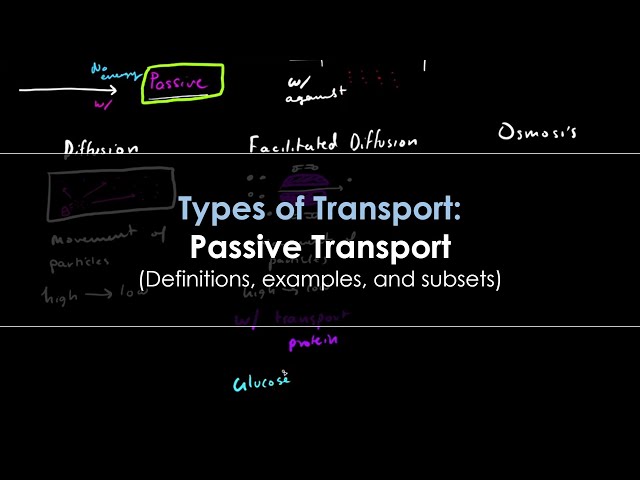Passive Transport - An Introduction to Biology