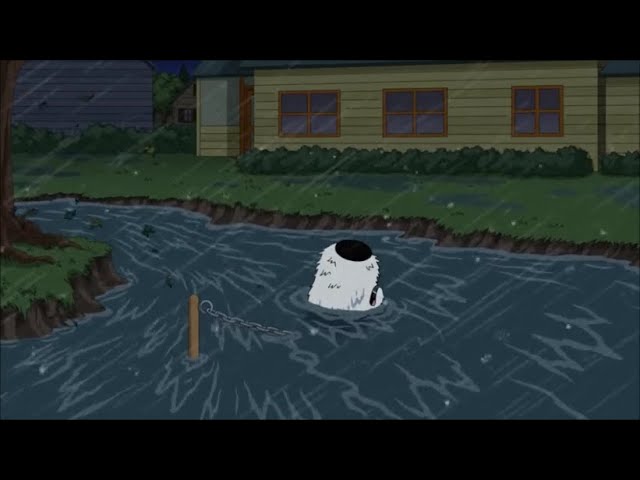 Family Guy - "Where's Brian?"