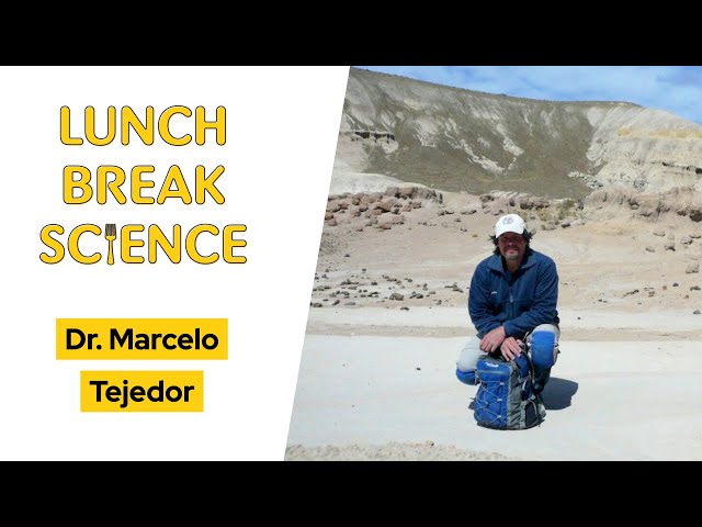 The Long Journey of New World Monkeys • Dr. Marcelo Tejedor • Lunch Break Science