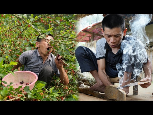 Harvest strawberry garden with syrup, harvest green vegetables to sell | Daily Life