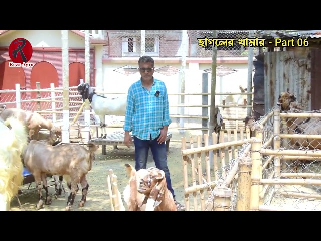 Goat Farming By Shamim Mahmud - Part 06 | Goat Farming | Roza Agro Farm