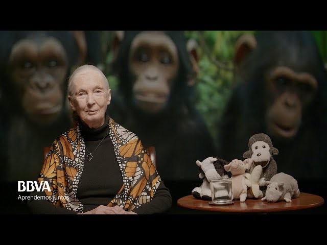 V.O. Complete. Life lessons of an indomitable spirit. Jane Goodall, primatologist