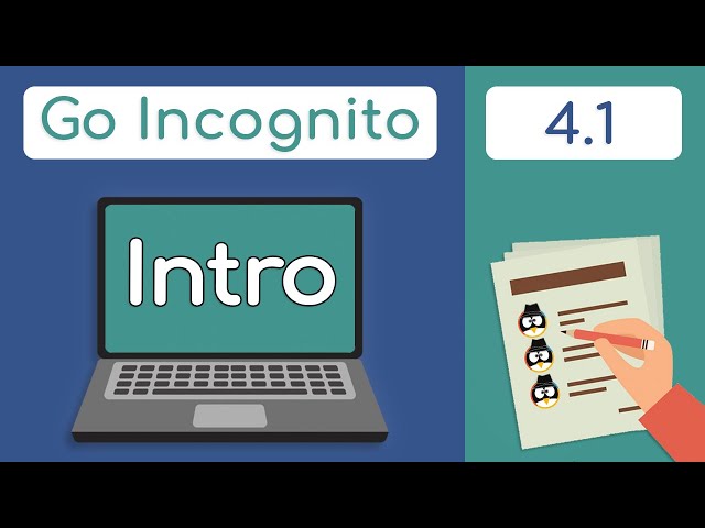 Section 4 Introduction | Go Incognito 4.1
