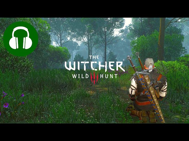 Meditate Like A WITCHER 🎧 Just Nature Sounds (SLEEP | STUDY | FOCUS)