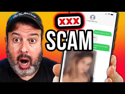 This Scam is WILD!