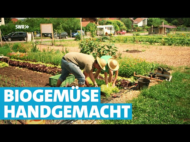 Wie zwei Hobby-Gärtner als "Gemüselenz" ihren Traum verwirklichen