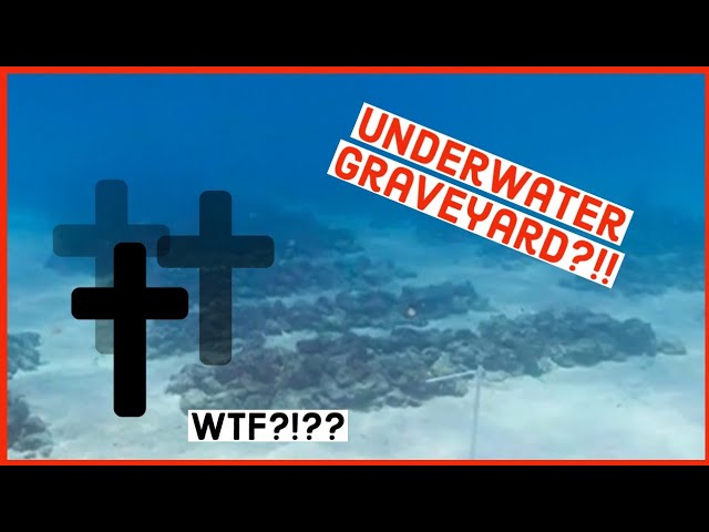 Underwater Graveyard in Florida?! ⚰️😱 #shorts #scarytiktok