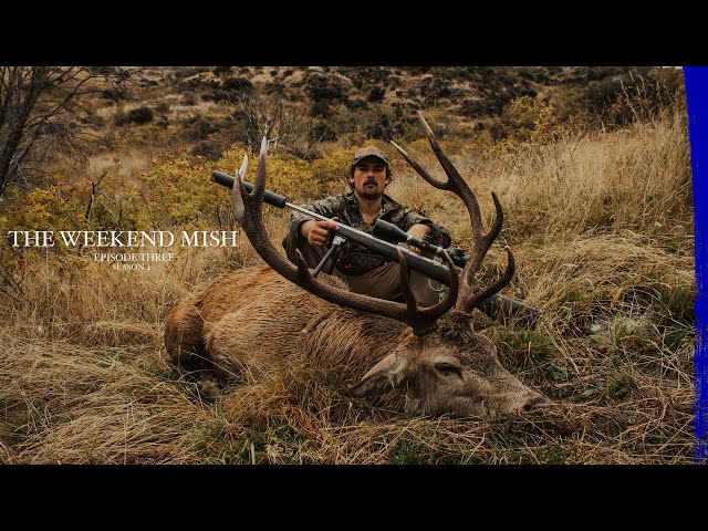 Giant Free Range RED STAGS - The 2022 Roar - Big Stag Down