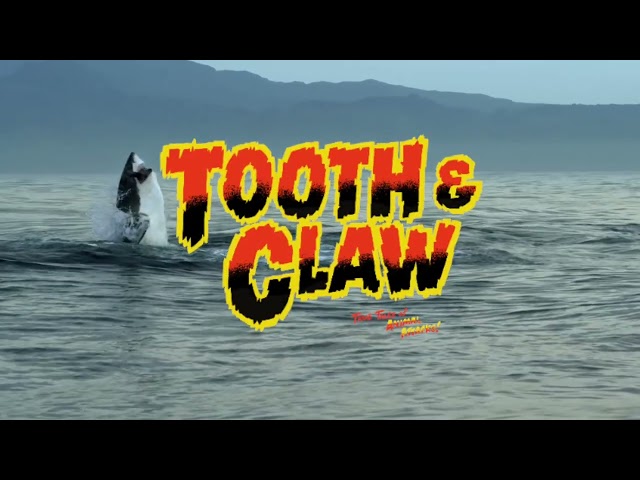 Tooth & Claw: True Stories Of Animal Attacks | Welcome To QCODE