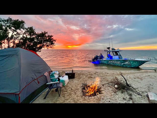 Remote Beach Camping - Everglades National Park (Catch/Clean/Cook)