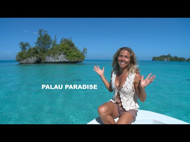 The best of Palau an island paradise