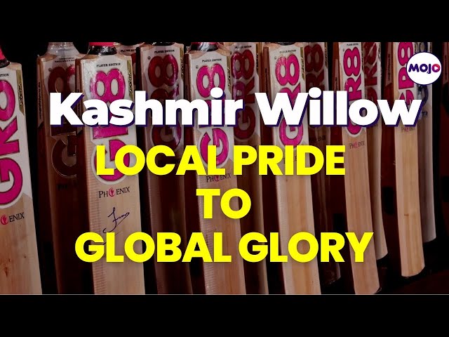 Kashmir Bat Maker's Livelihood Threatened By Willow Tree Exploitation Despite Rising Popularity