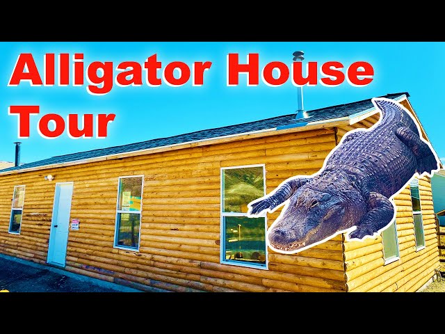 Alligator House: FULL TOUR!!!