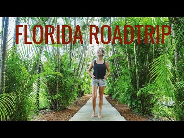 Miami, Everglades & Florida Keys ROADTRIP | FLORIDA Vlog #2