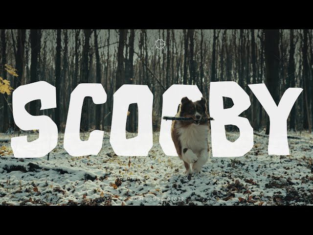 Oliver Olson x Gibbs - Scooby