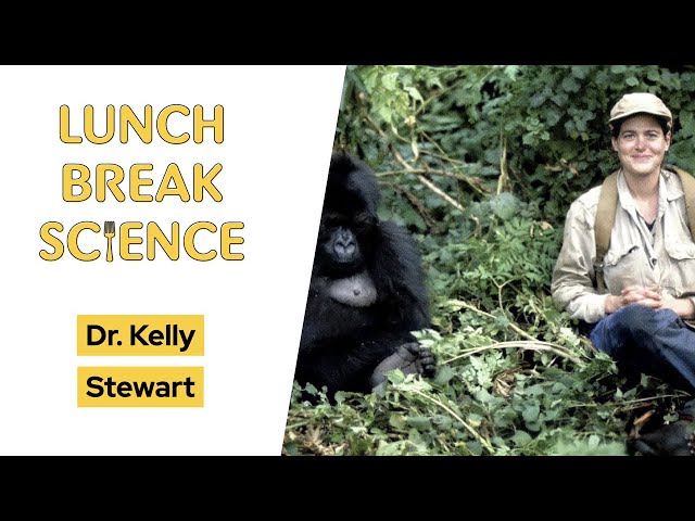Lunch Break Science #42 | Kelly Stewart