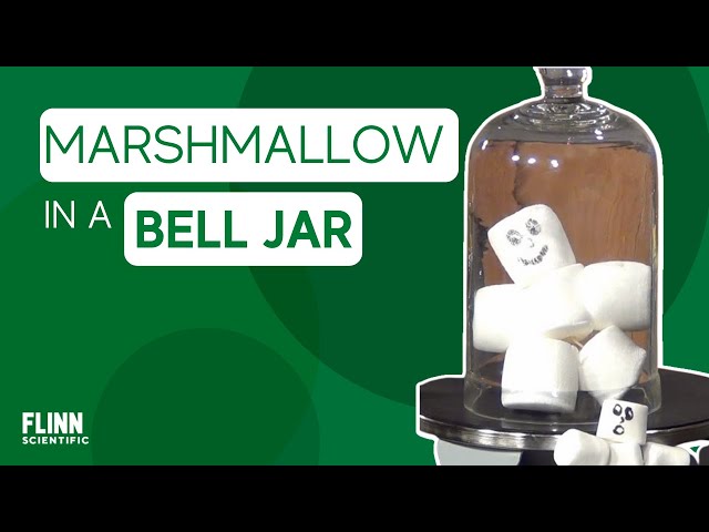 Marshmallow in a Bell Jar