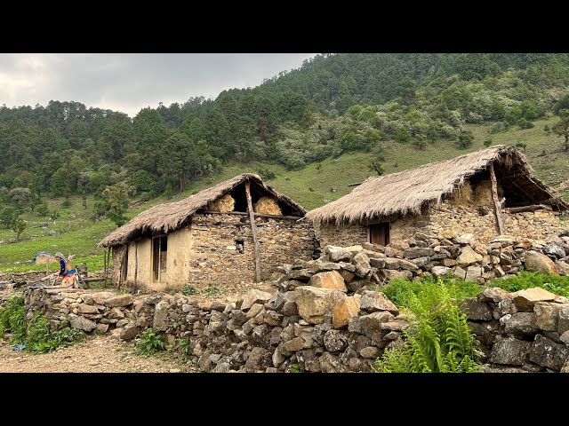Surviving the Challenges of Life in a Rainy Nepali Mountain Village || IamSuman