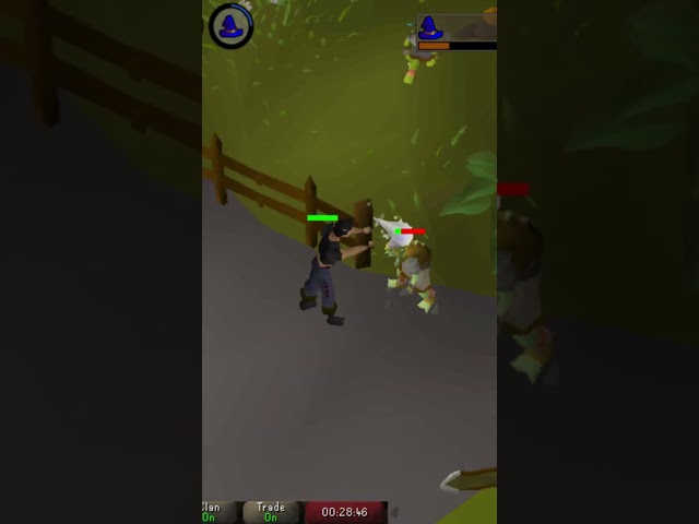The Rare Runescape Accounts With Under 10 HP