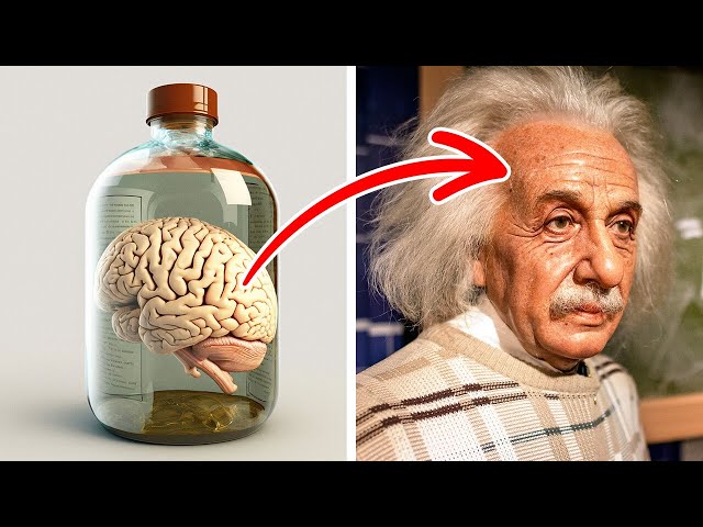 Основные открытия Эйнштейна и другие исторические факты, которые вы могли не знать