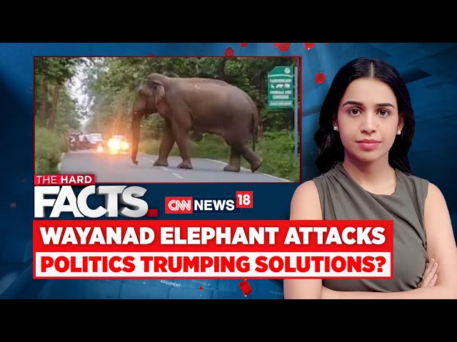 Waynad News | Protest In Waynad Over Elephant Attacks | Waynad Elephant Attack news | News81