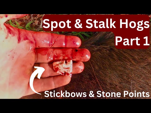 Primitive bow hunting Hogs. Spot & Stalk