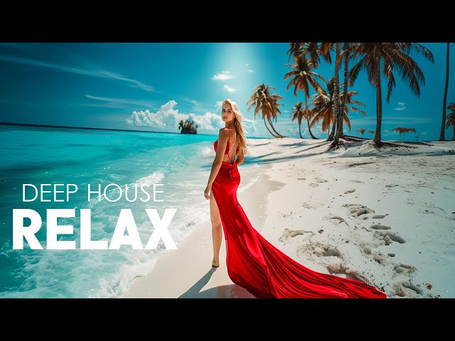 Summer Waves Lounge Beats 2024 🌊 Relaxing Beachside Lounge Music 2024 🔥 Summer Vibes