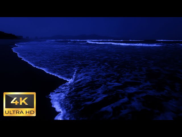 High Quality Ocean Sounds For Deep Sleep 4K | Relaxing Ocean Waves Rolling In Dark Night