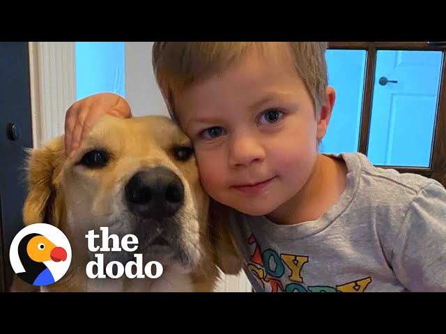 This Dog Is So Loyal, He Checks Up On Toddler Every Night | The Dodo Soulmates