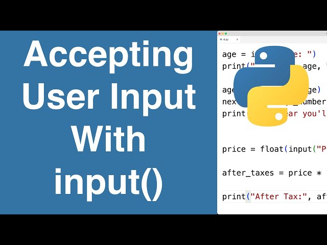 Accepting User Input With input() | Python Tutorial